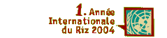 2004 Anno Internazionale del Riso