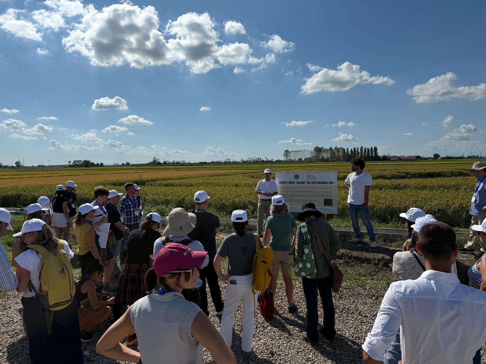 Eu-Rice, un network per il futuro del riso