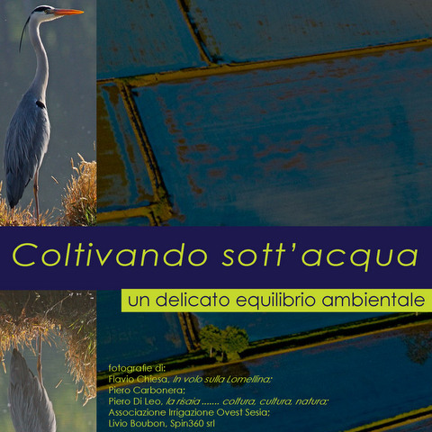 Underwater Farming - Coltivando sott'acqua