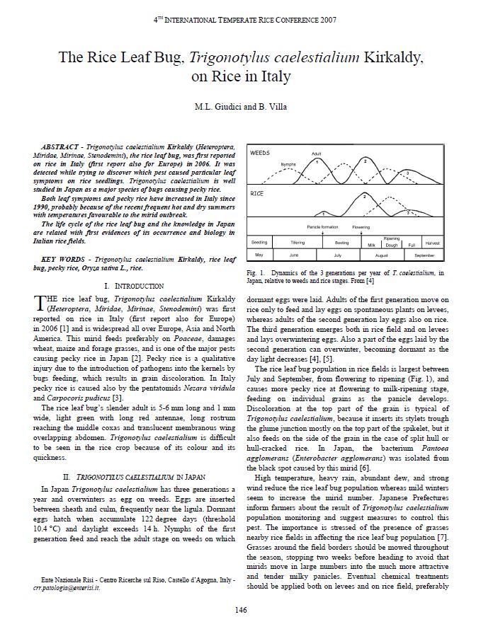 The Rice Leaf Bug, Trigonotylus caelestialium Kirkaldy, on Rice in Italy