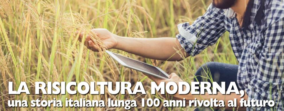 La Risicoltura Moderna, una storia italiana lunga 100 anni rivolta al futuro