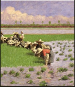 "Rapsodia della Risaia"