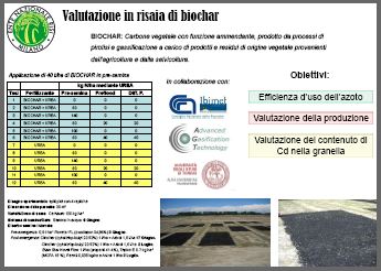 Valutazione in risaia di biochar