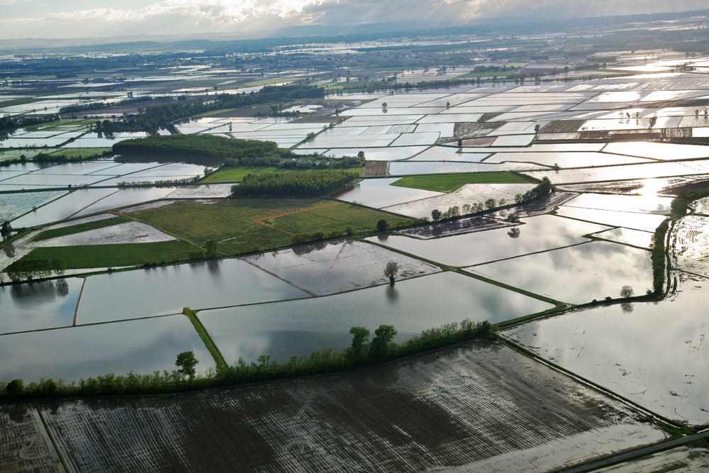 01 - La risicoltura occupa solo lo 0,2% della superficie agricola europea e rappresenta una “diversificazione” del territorio.