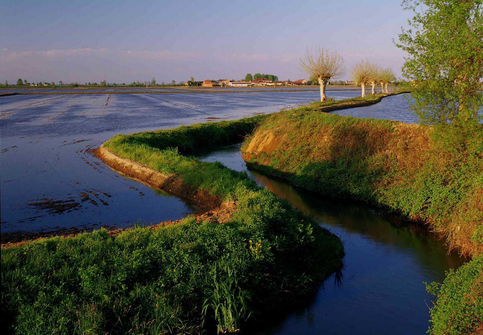 04 - Ancorché occupino una superficie relativamente modesta le risaie sono tuttavia concentrate in territori vocati, pianure irrigue e foci dei fiumi del sud Europa, nei quali l’equilibrio economico e ambientale è estremamente fragile.