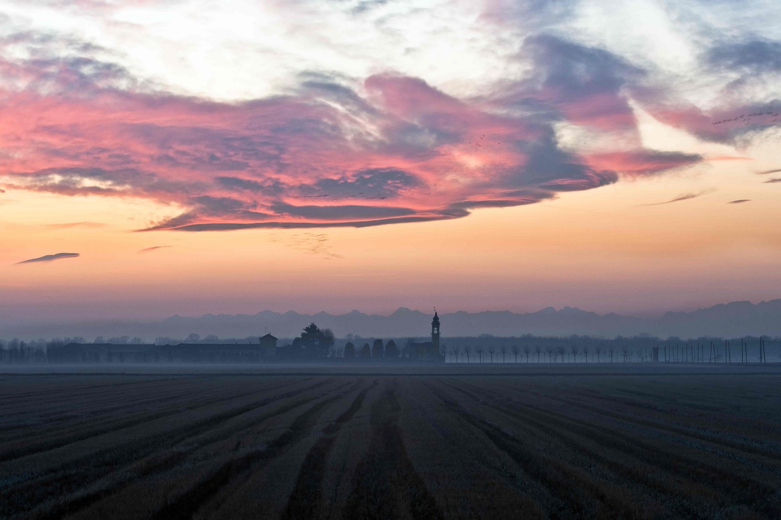 19 - L’evaporazione di un campo di riso non è superiore a quella di altre colture cerealicole. L’agricoltura europea contribuisce per il 9% alla produzione di gas effetto serra, ma il riso rappresenta solo lo 0,05%