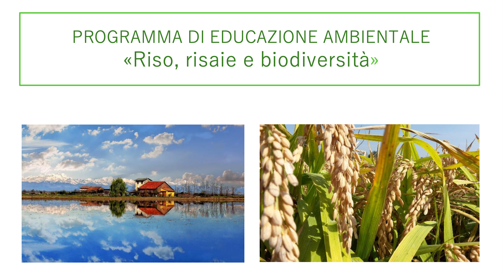 Programma di educazione ambientale Riso risaie e biodiversità