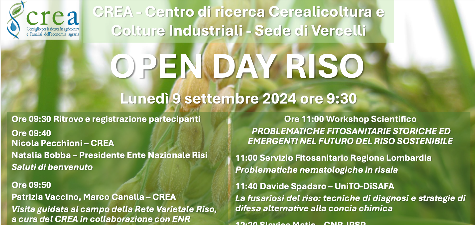 Open Day Riso - CREA