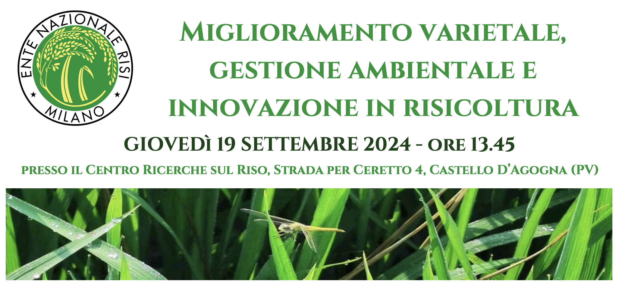 Field Day al CRR - Miglioramento varietale, gestione ambientale e innovazione in risicoltura