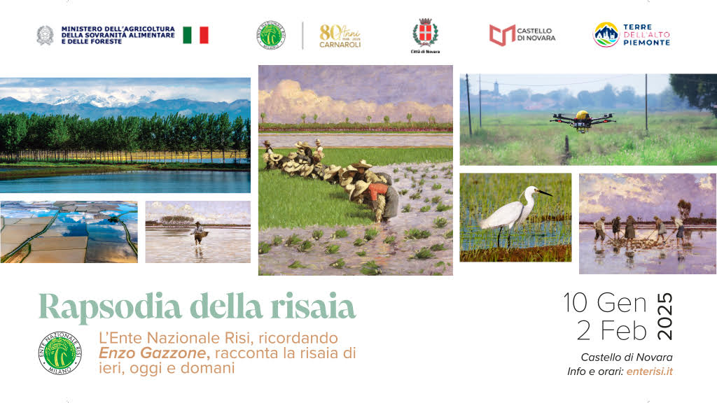 Rapsodia della risaia in mostra al Castello di Novara