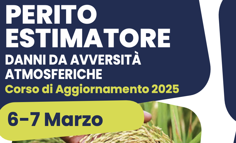 Il riso...nella casa del riso - Corso di aggiornamento per periti estimatori