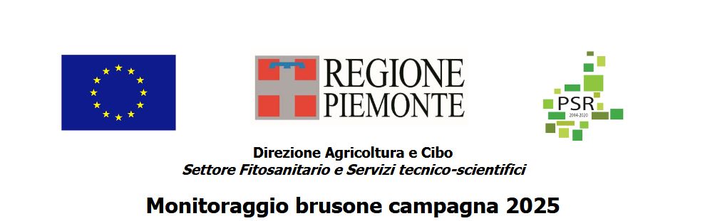 1° bollettino Monitoraggio Brusone - 23/06/2025