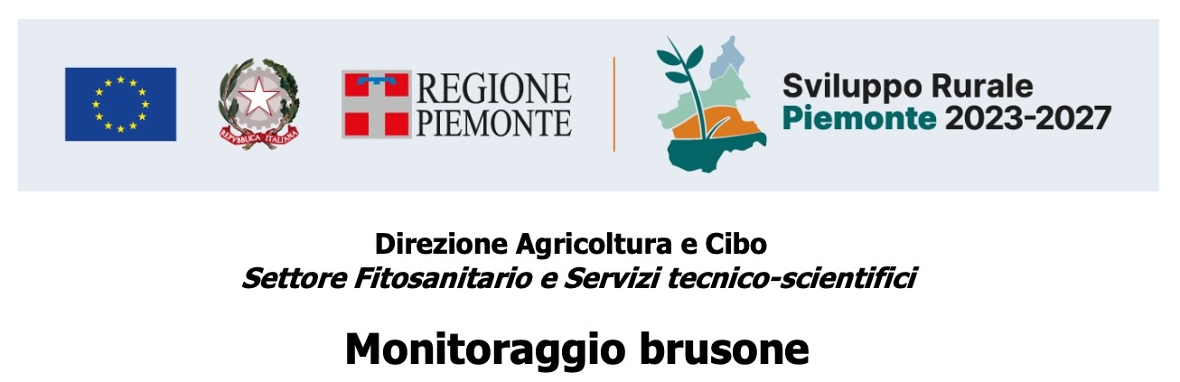 2° bollettino Monitoraggio Brusone - 26/06/2025