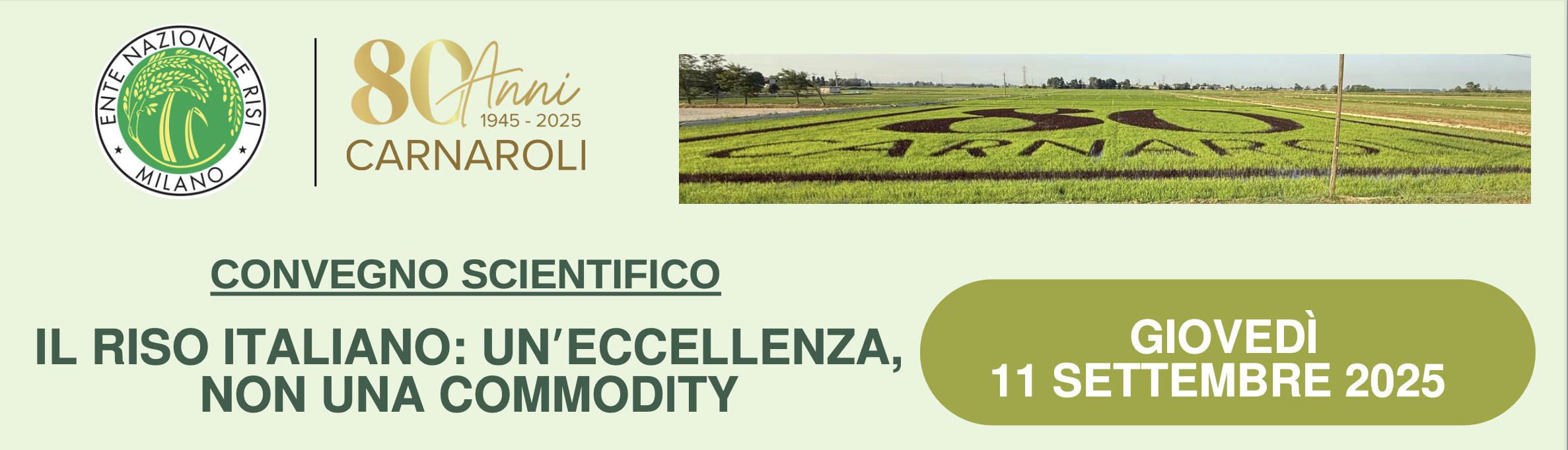 Il riso italiano: un'eccellenza, non una commodity