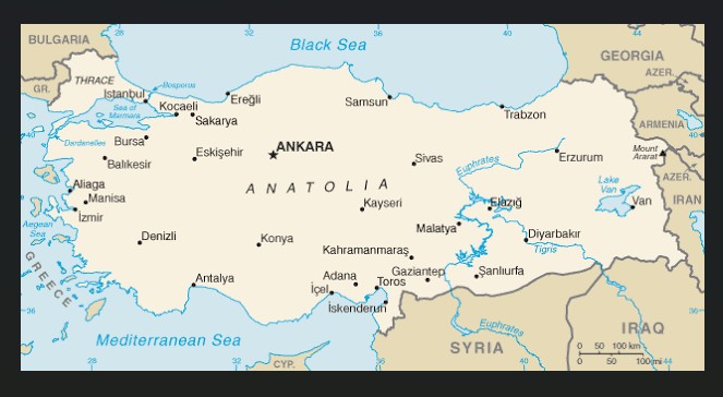 “L'EUROPA IMPARI DA ANKARA A DIFENDERE I PROPRI PRODUTTORI”