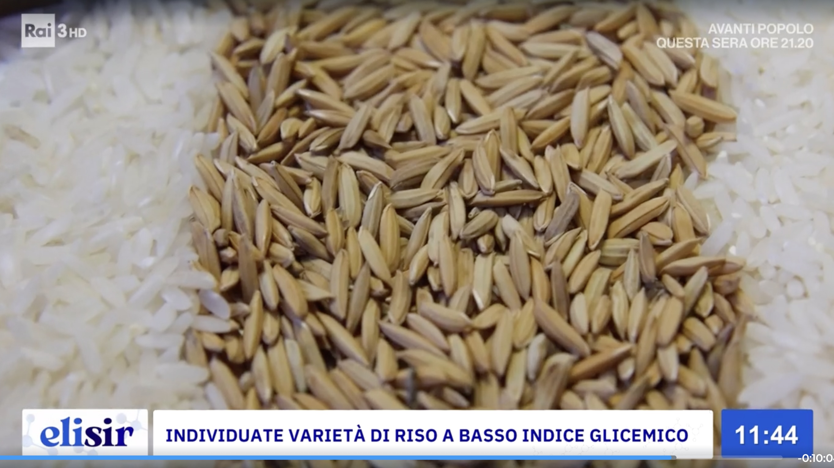 Elisir affronta il tema del riso a basso indice glicemico 