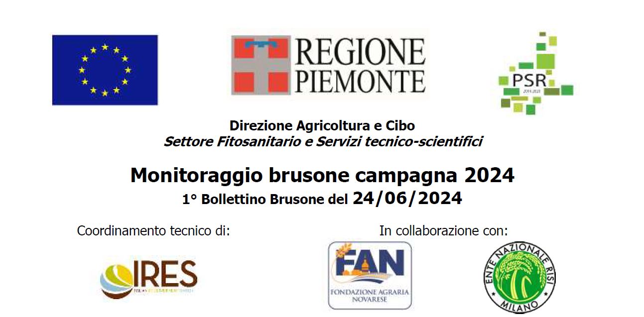 2° bollettino Monitoraggio Brusone - 27/06/2024
