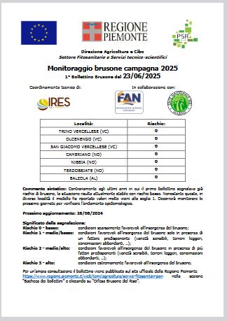 1° bollettino Monitoraggio Brusone - 23/06/2025