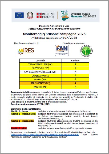 7° bollettino Monitoraggio Brusone - 14/07/2025
