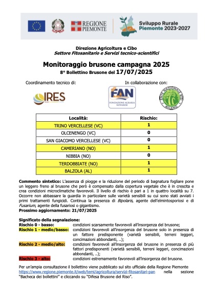 8° bollettino Monitoraggio Brusone - 17/07/2025