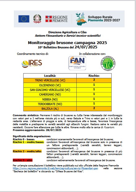 10° bollettino Monitoraggio Brusone - 24/07/2025
