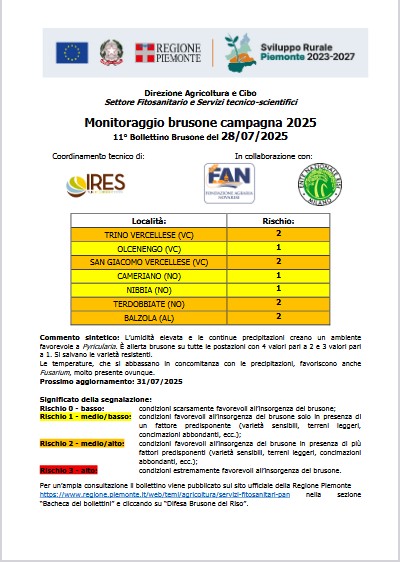 11° bollettino Monitoraggio Brusone - 28/07/2025