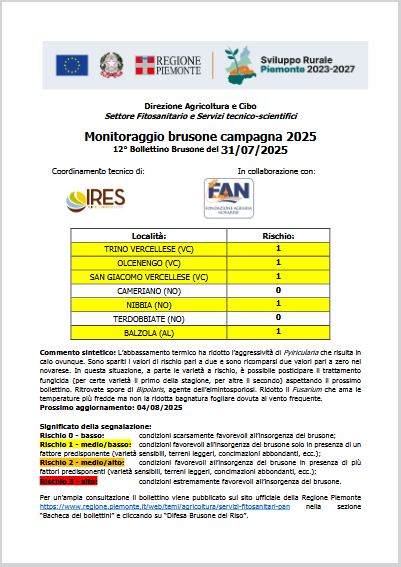 12° bollettino Monitoraggio Brusone - 31/07/2025
