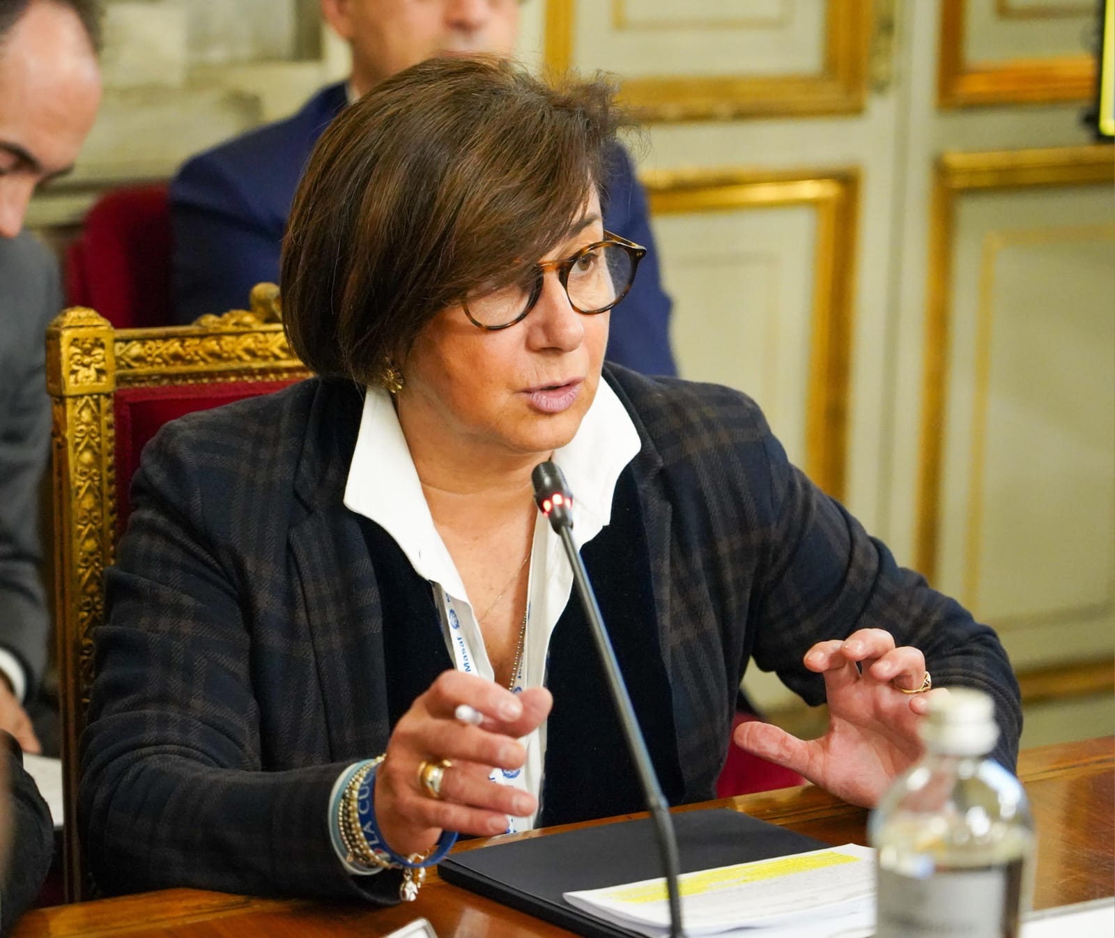 Mercosur e riso a dazio zero: la Presidente dell'Ente incontra il Commissario europeo Šefčovič Mercosur e riso a dazio zero: la Presidente dell'Ente incontra il Commissario europeo Šefčovič