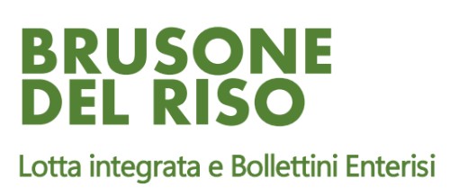 Brusone del riso